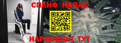 бошки Можга
