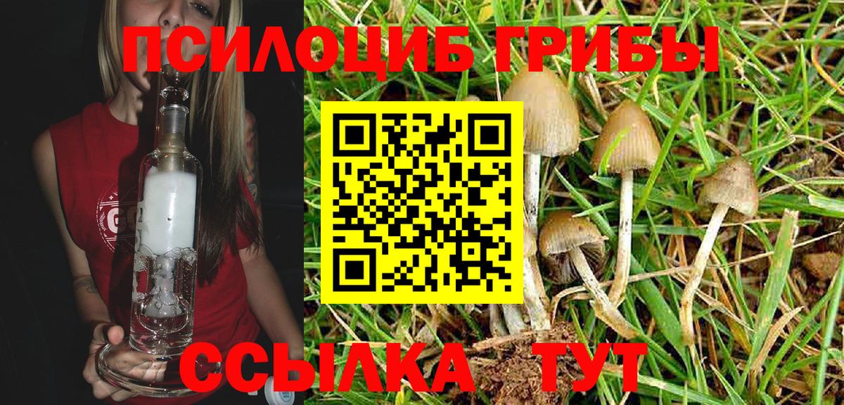 Галлюциногенные грибы Magic Shrooms  Галлюциногенные грибы мухоморы  Арзамас  Вход с VPN 